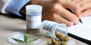 Usage médical du cannabis