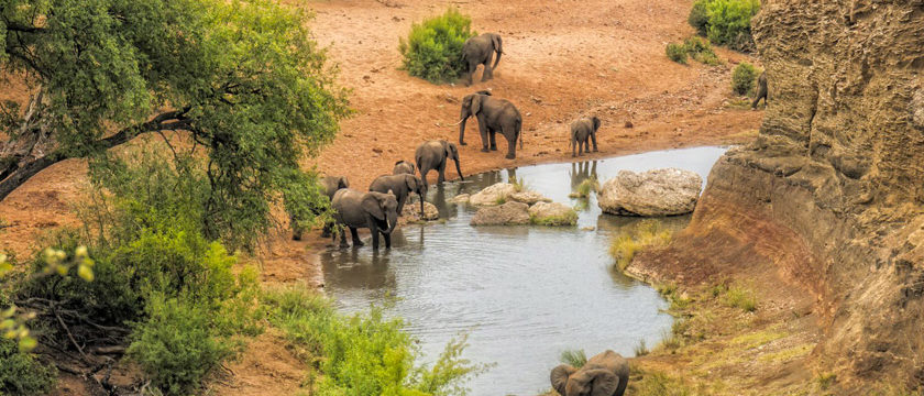 Afrique du Sud