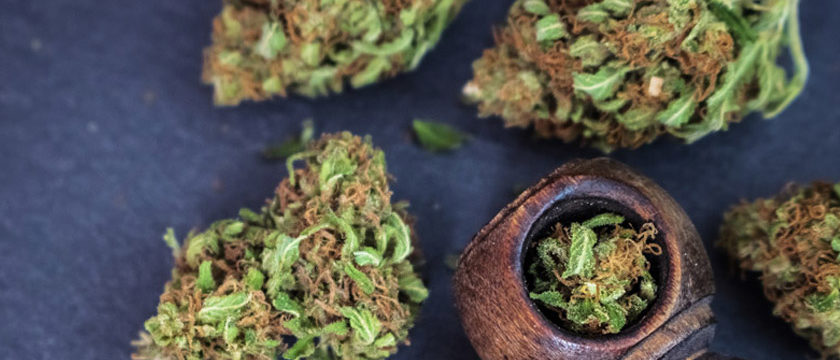Fleurs de CBD