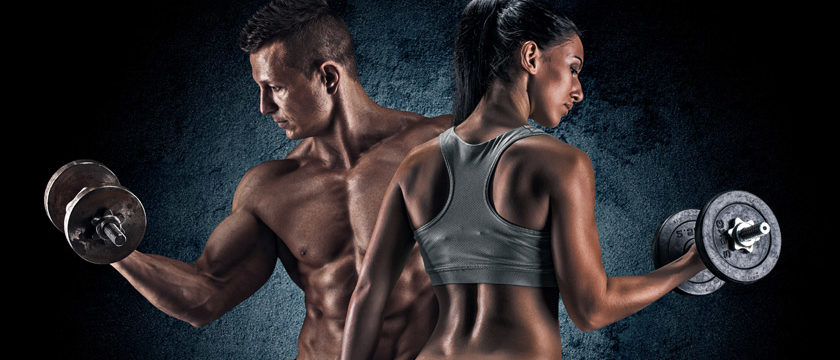 Programme de musculation