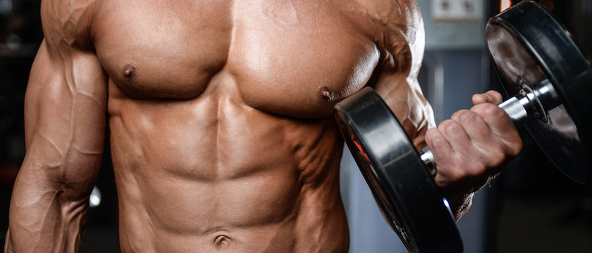 croissance musculaire