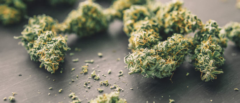 Fleur de CBD