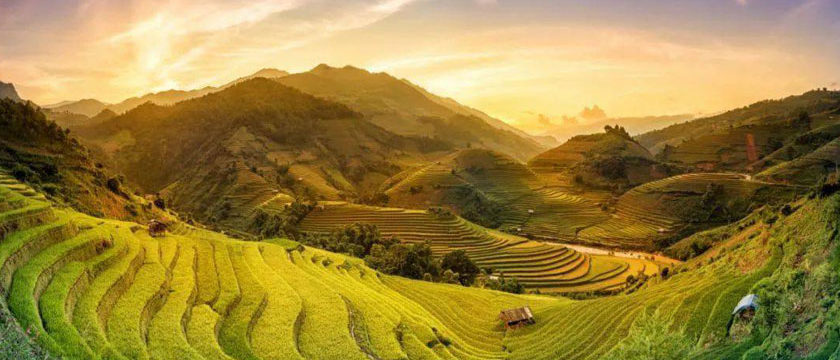 Vietnam