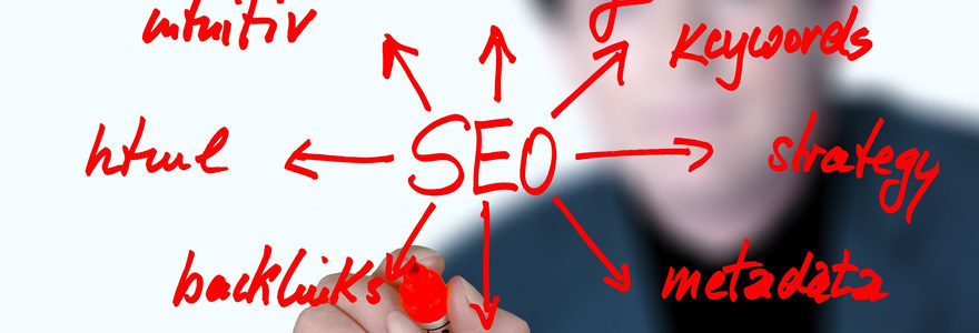 consultant seo a lyon referencement naturel
