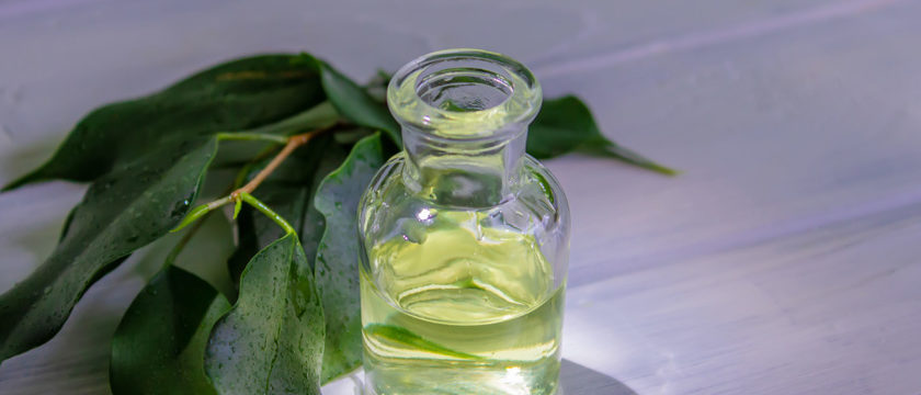 huile essentielle de tea tree