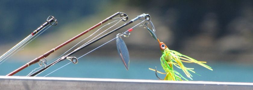 Utiliser un leurre souple pour la pêche au brochet