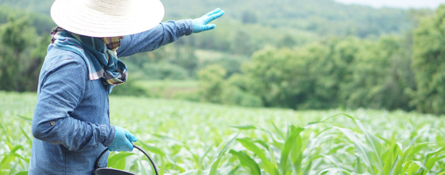 agriculture moderne